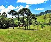 Terreno a Venda em Sapuca Mirim - Sul de Minas - Serra da Mantiqueira