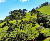 Terreno a Venda em Sapuca Mirim na Serra da Mantiqueira