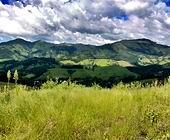 Terreno a Venda em Sapuca Mirim - Sul de Minas - Serra da Mantiqueira