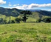 Terreno a Venda em Sapuca Mirim na Serra da Mantiqueira