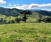 Terreno a Venda em Sapuca Mirim - Sul de Minas - Serra da Mantiqueira