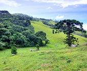 Terreno a Venda na regio de Gonalves - Sul de Minas - Serra da Mantiqueira
