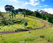 Terreno a Venda - Paraisopolis - Sul de Minas - Serra da Mantiqueira