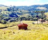 Terreno a Venda em Sapuca Mirim - Sul de Minas - Serra da Mantiqueira