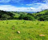 Terreno a Venda - Gonalves - Sul de Minas - Serra da Mantiqueira