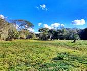 Terreno a Venda - Paraisopolis - Sul de Minas - Serra da Mantiqueira