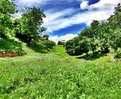 Terreno a Venda em Sapuca Mirim - Sul de Minas - Serra da Mantiqueira