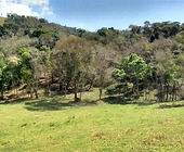 Terreno a Venda - Consolao - Sul de Minas - Serra da Mantiqueira