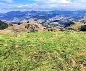 Terreno a Venda - So Bento do Sapucai - SP - Serra da Mantiqueira