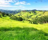 Terreno a Venda - Gonalves - Sul de Minas - Serra da Mantiqueira