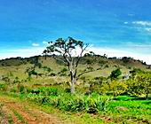 Terreno a Venda em Sapuca Mirim - Sul de Minas - Serra da Mantiqueira