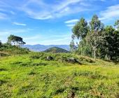 Terreno a Venda em Sapuca Mirim - Sul de Minas - Serra da Mantiqueira