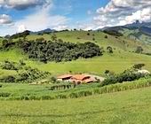Sitio a Venda em So Bento do Sapucai