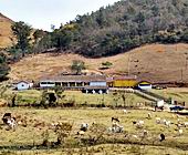 Fazenda a Venda em Itajuba no Sul de Minas