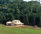 Fazenda a Venda no Sul de Minas